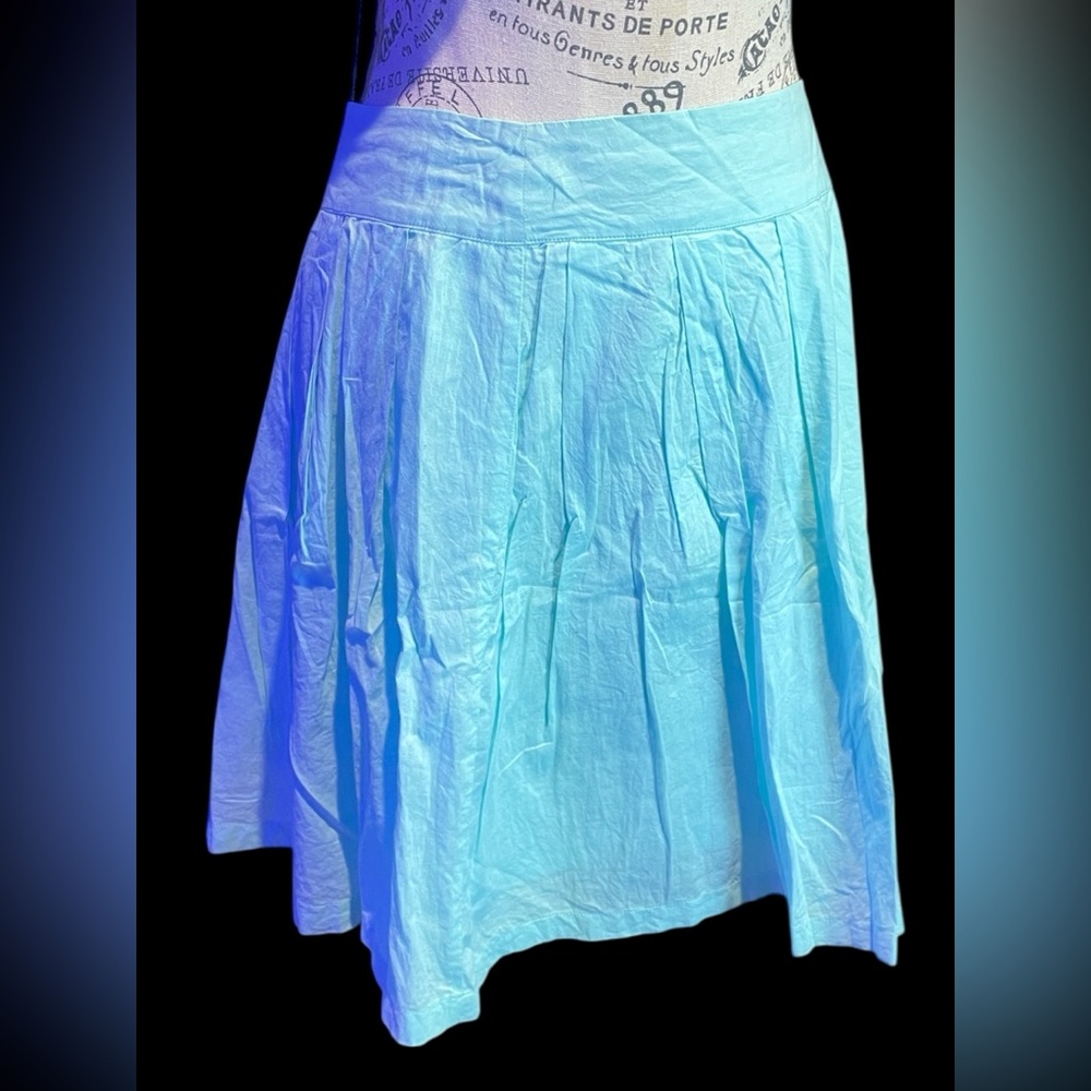 Frenchie Light Blue Women's Skirt size S